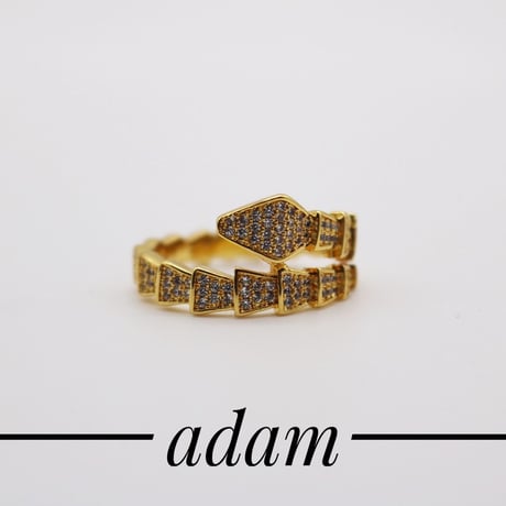 Dragon tail ring