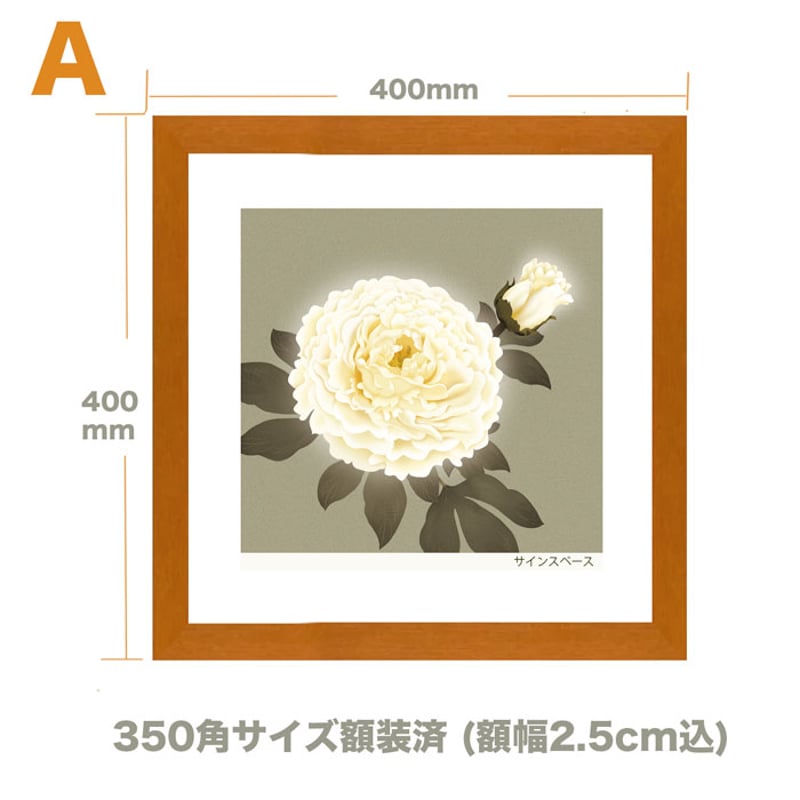 No.241【芍薬 シャクヤク】額装ジークレ限定50枚 | ARTESEIKO アルテセイコ