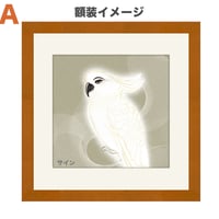 🌟【Parrot】額装ジークレ限定50枚