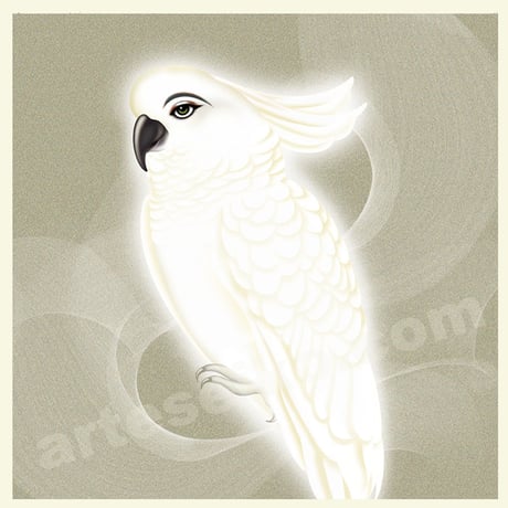 🌟【Parrot】額装ジークレ限定50枚