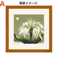 🌟【 白砂 】正方形　額装ジークレ（デジタルリトグラフ）
