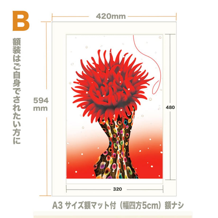 6672cf14e080d9044c805a9e