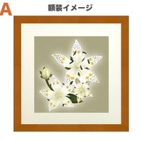 🌟【あけぼの】額装ジークレ限定50枚