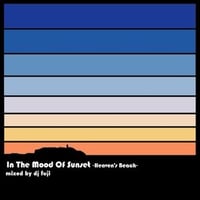 DJ FUJI / In The Mood Of Sunset -Heaven’s beach-