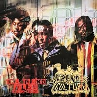 TRENDS OF CULTURETHE TREND FILES (1992-1998) -2LP-