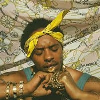 Pink Siifu - Ensley (2XLP)