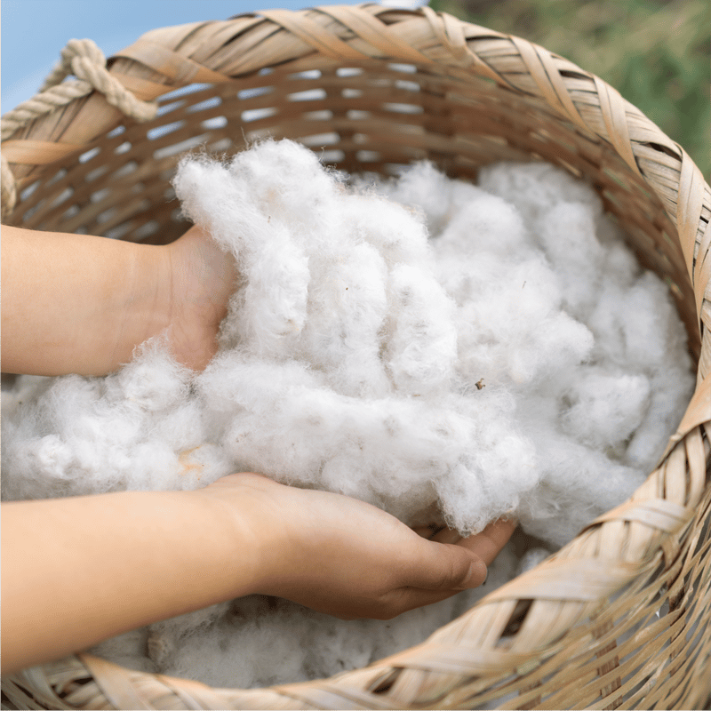 遠州織物×久留女木の棚田プロジェクト】棚田コットンビッグシャツ