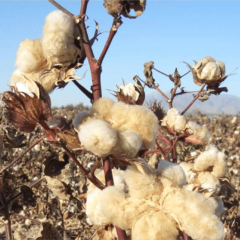 HUIS×yohaku吊り編み&茶綿スウェットロングカーディガン