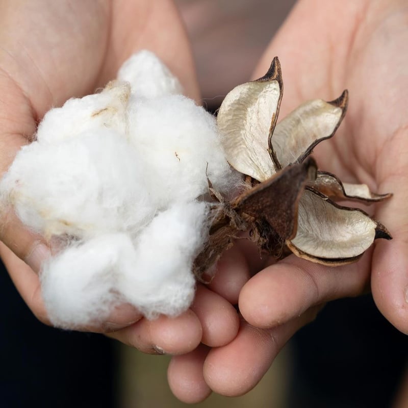 遠州織物×久留女木の棚田プロジェクト】棚田コットンビッグシャツ