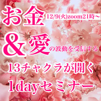 【動画講座】13チャクラ1dayセミナー