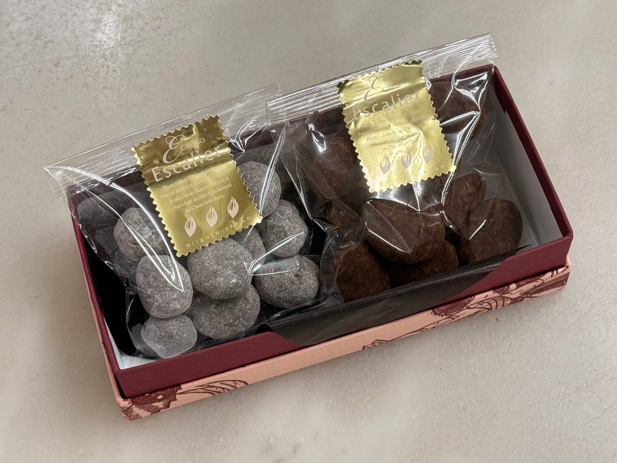 旅するチョコボ 4枚セット 旅するチョコボ 4枚セット BIGWEB | MTG】日本最大級の激安