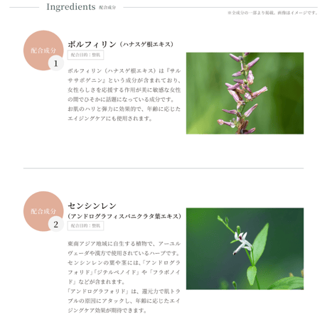 V3 particle primer 《light》