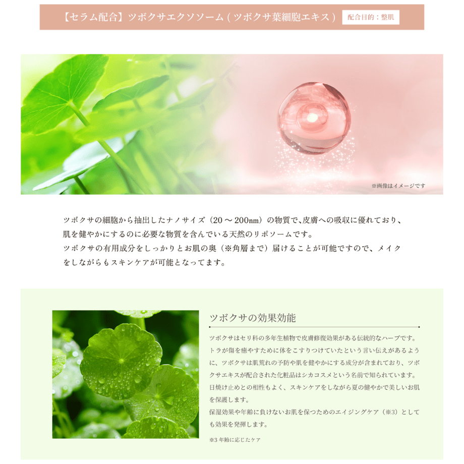 64ea4eac845a63003a6a267d
