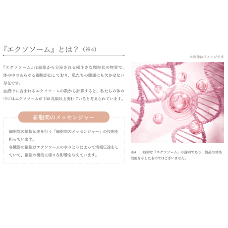 V3 particle primer 《light》