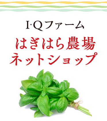 I・Qファームはぎはら農場ネットショップ