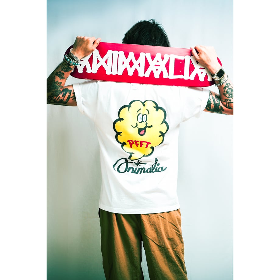 666001eddbcf25003633efa3