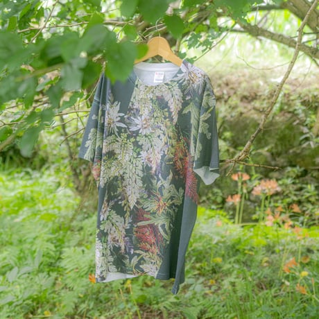 四季柄Tシャツ【オウレン】