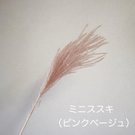 OTSUKIMI option お月様/飾り台/ミニススキ