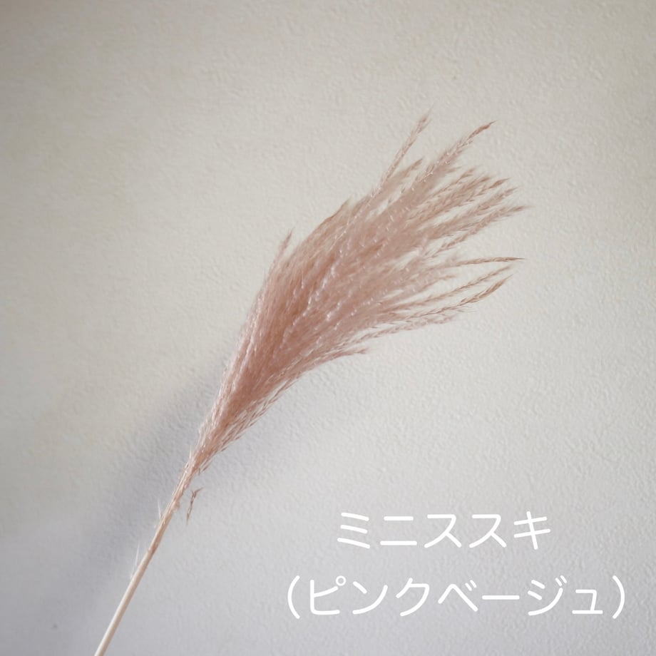 611a574d84ca6360a50e56ca