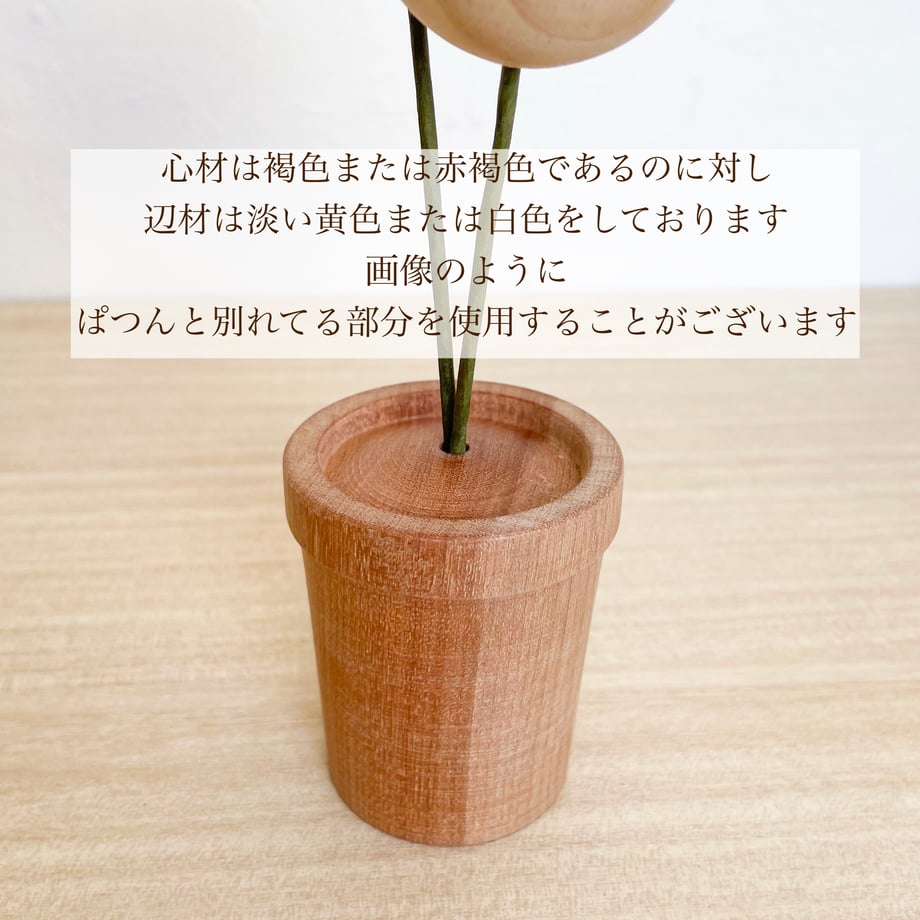 624296a86dc67b5d59df82b2
