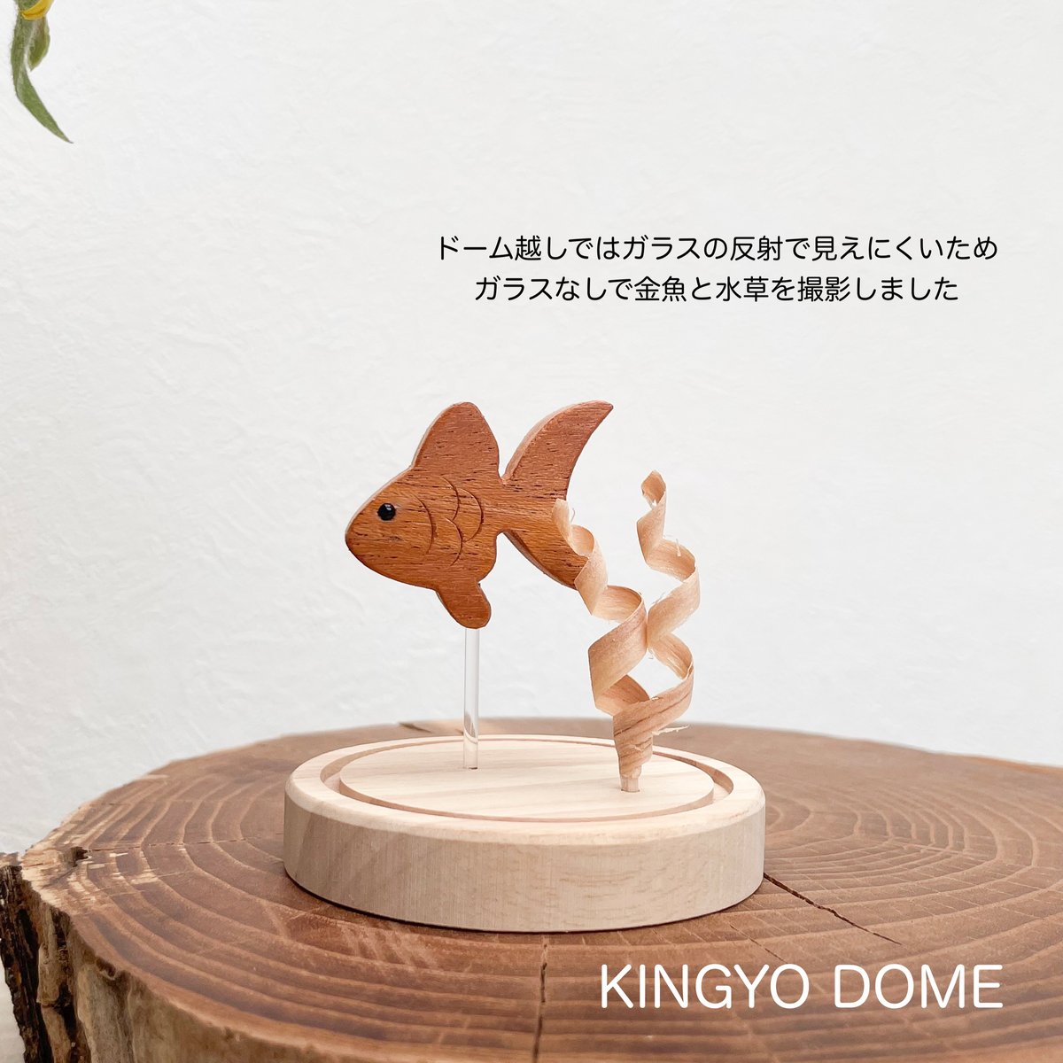 盃で泳ぐ金魚　大　ソメイヨシノ　置物 盃で泳ぐ金魚 大 ソメイヨシノ 置物 （金魚Museum@癒しの金魚