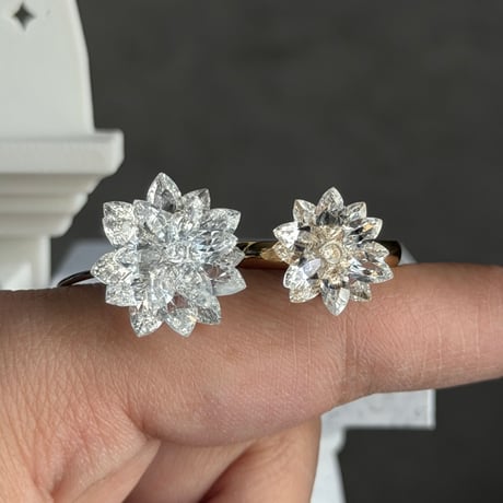 Sole Ring
