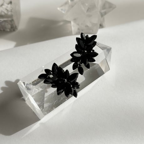 クリネージュ Black 【 閲覧用 】