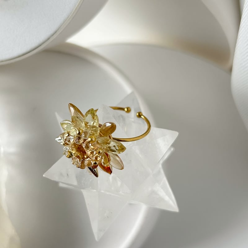アクセサリー HIMAWARI ❝HIMAWARI❞ Stainless RING | EVER MY