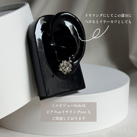 Crystal Sole Earring