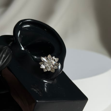 Crystal Sole Earring