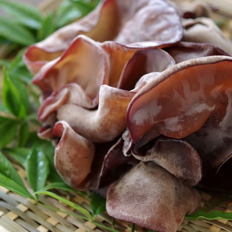 【有機JAS認定】肉厚ぶりぶり生きくらげ  150ｇ