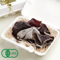 【有機JAS認定】肉厚ぶりぶり生きくらげ  150ｇ