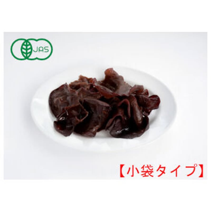 きのこ 東京きのこ同好会 ： アカヒダササタケ