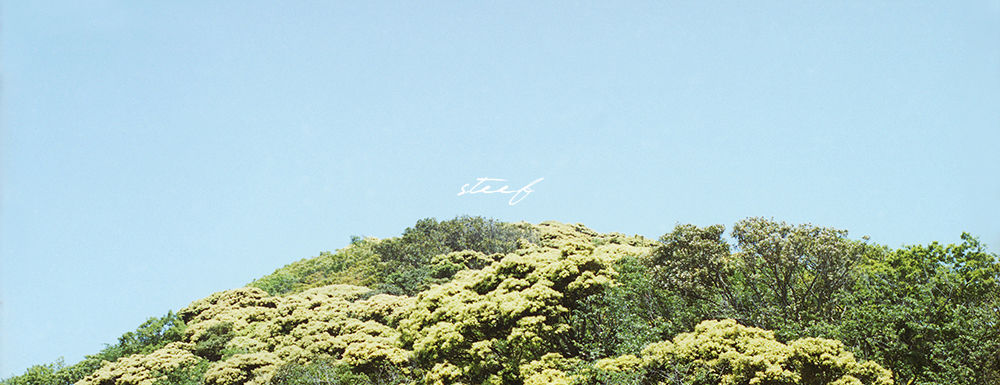 steefyutenji