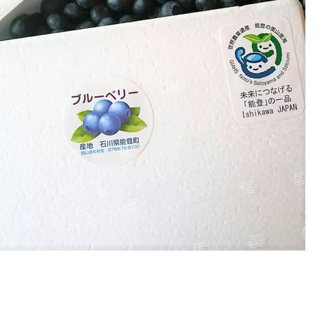 ★送料別途★能登町産手摘みの完熟ブルーベリー冷凍果実