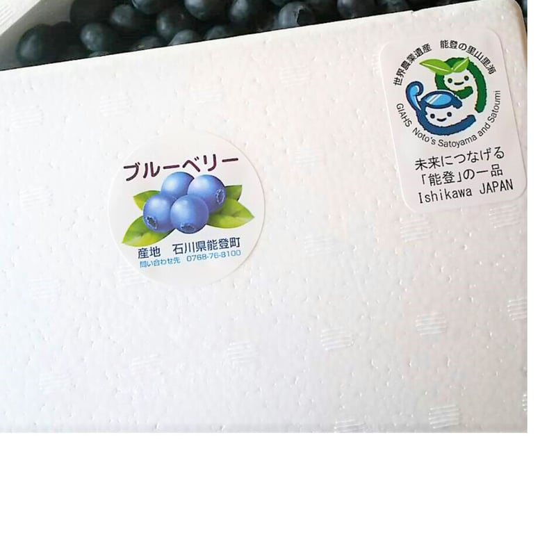 ☆送料別途☆能登町産手摘みの完熟ブルーベリー冷凍果実 | notono store