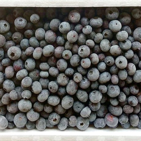 ★送料別途★能登町産手摘みの完熟ブルーベリー冷凍果実 （サイズ混・赤みあり）