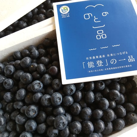 ★送料別途★能登町産手摘みの完熟ブルーベリー生果実