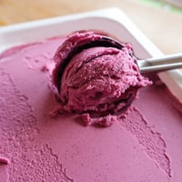 notonoフローズンヨーグルト  ブルーベリー 2リットル