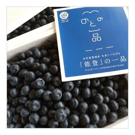 ★送料別途★能登町産手摘みの完熟ブルーベリー生果実【125g×12パック入】