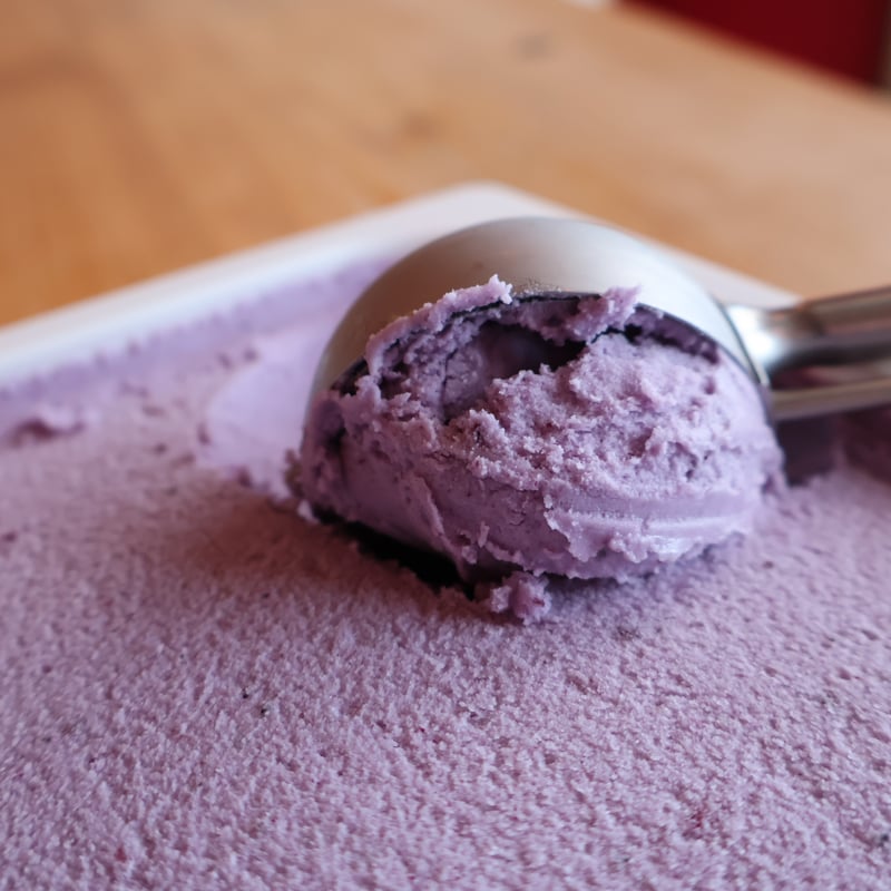 notonoアイスミルク ブルーベリー 2リットル | notono store