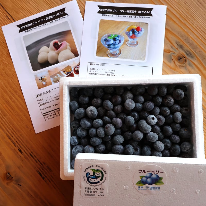 ☆送料別途☆能登町産手摘みの完熟ブルーベリー冷凍果実 | notono store