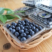 ★送料別途★能登町産手摘みの完熟ブルーベリー生果実【125g×12パック入】