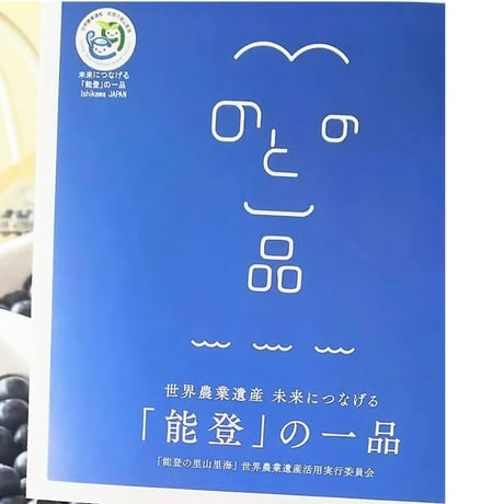 ★送料別途★能登町産手摘みの完熟ブルーベリー冷凍果実