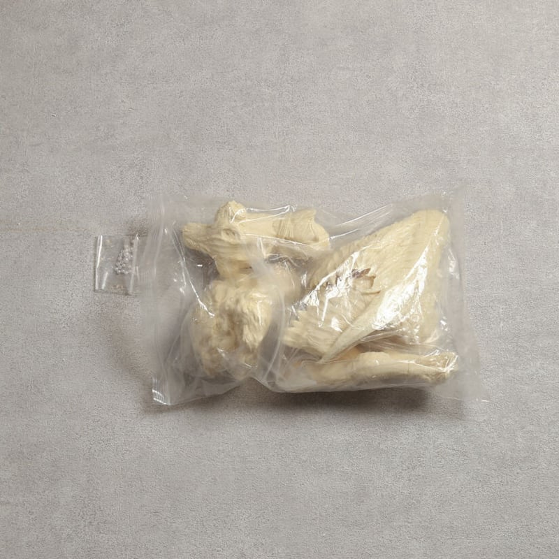 ヘルペインターガレージキット Amazon | ヘルペインター アラストル ガレージキット ガレキ レジン