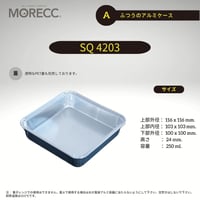 SQ4203 [50pcs] ふつうのアルミケース