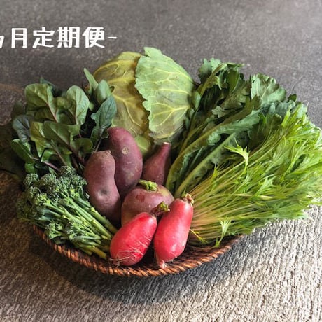 食彩市場おまかせ野菜BOX (Ｍサイズ1ヵ月全4回定期購入)
