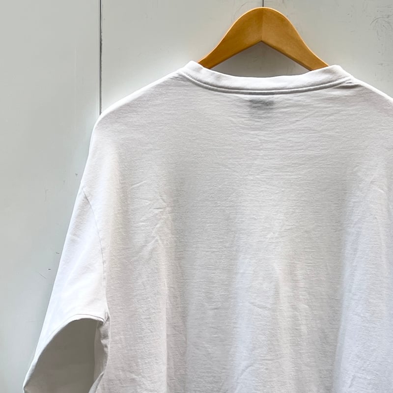 STUSSY/ステューシー ロンT 2000年代 (USED) | chameleon wea