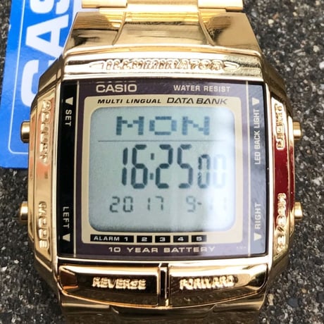 CASIO/カシオ DATABANK TELEMEMO30 (NEW)