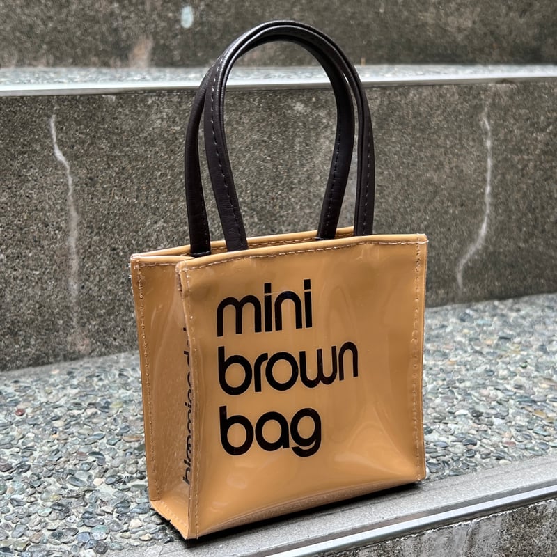 Little clear bag online